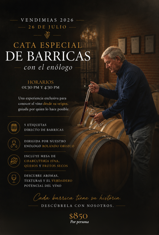 Cata Especial de Barricas con el Enólogo | Domingo 26 de Julio