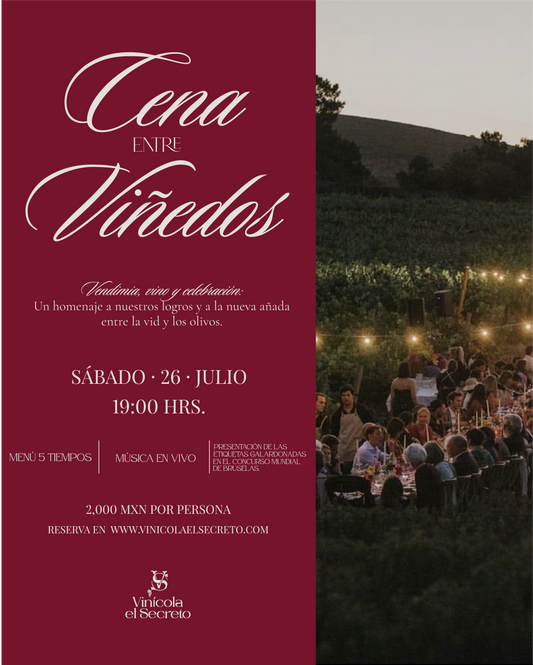 Gran Cena entre Viñedos